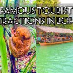 famous tourist attractions in bohol